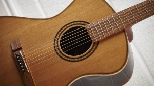 andrew-white-eos1010-soundhole-1200-80