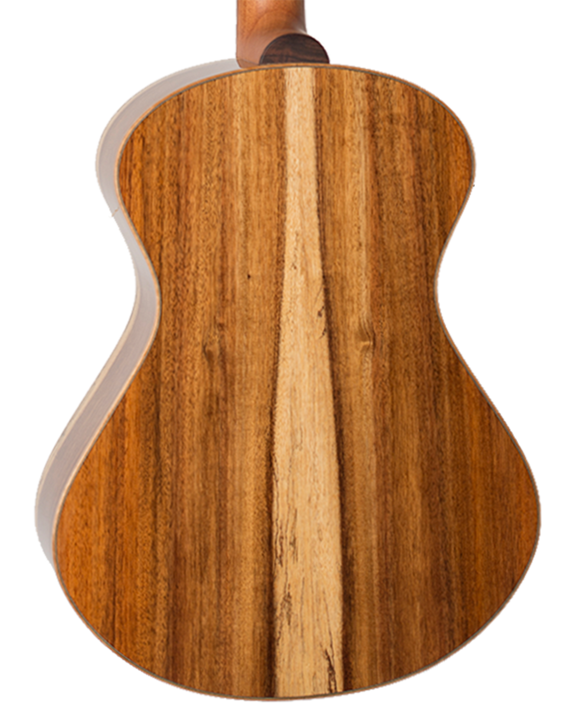 Tonewood Spotlight: Blackwood