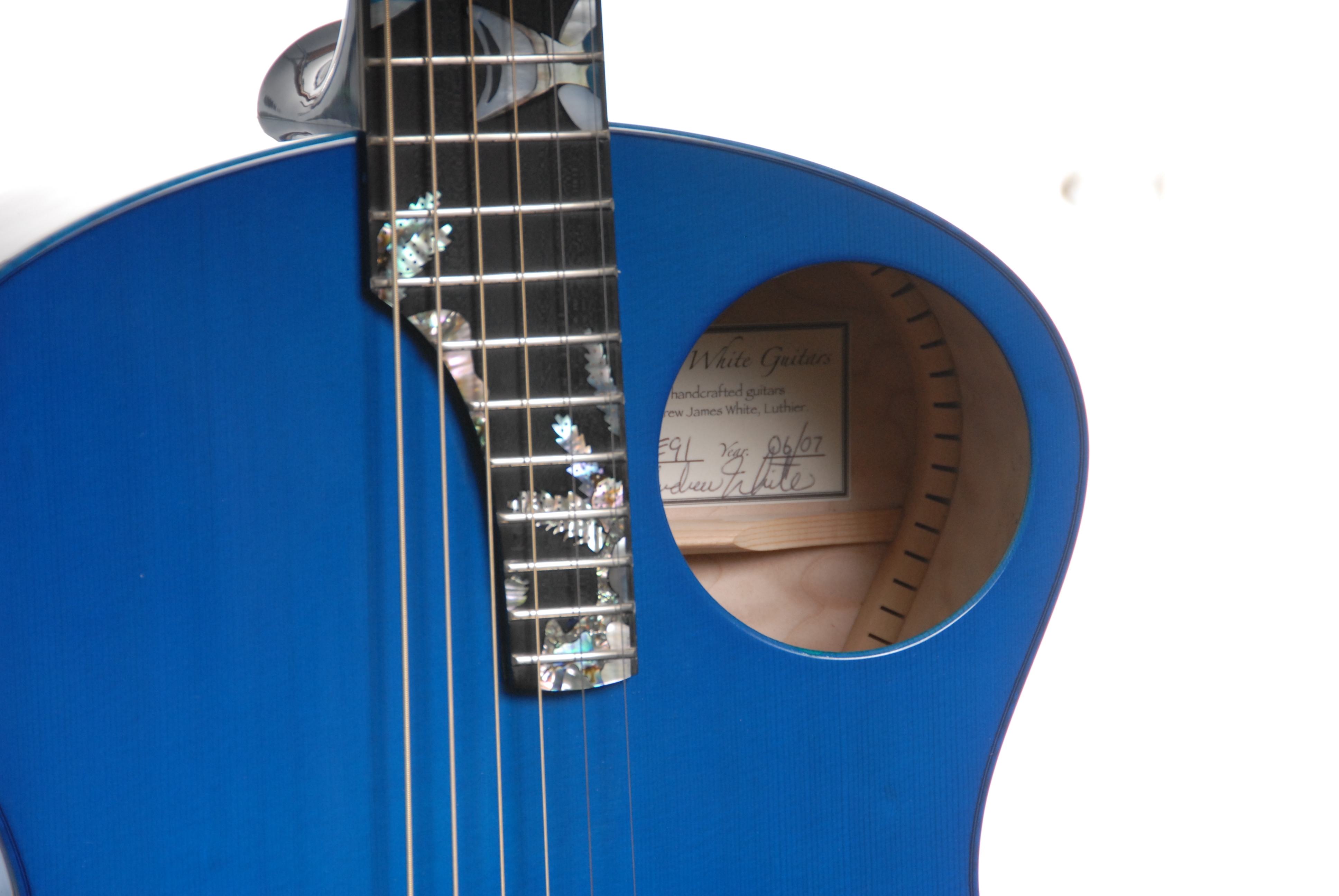 Blue Tang Guitar!