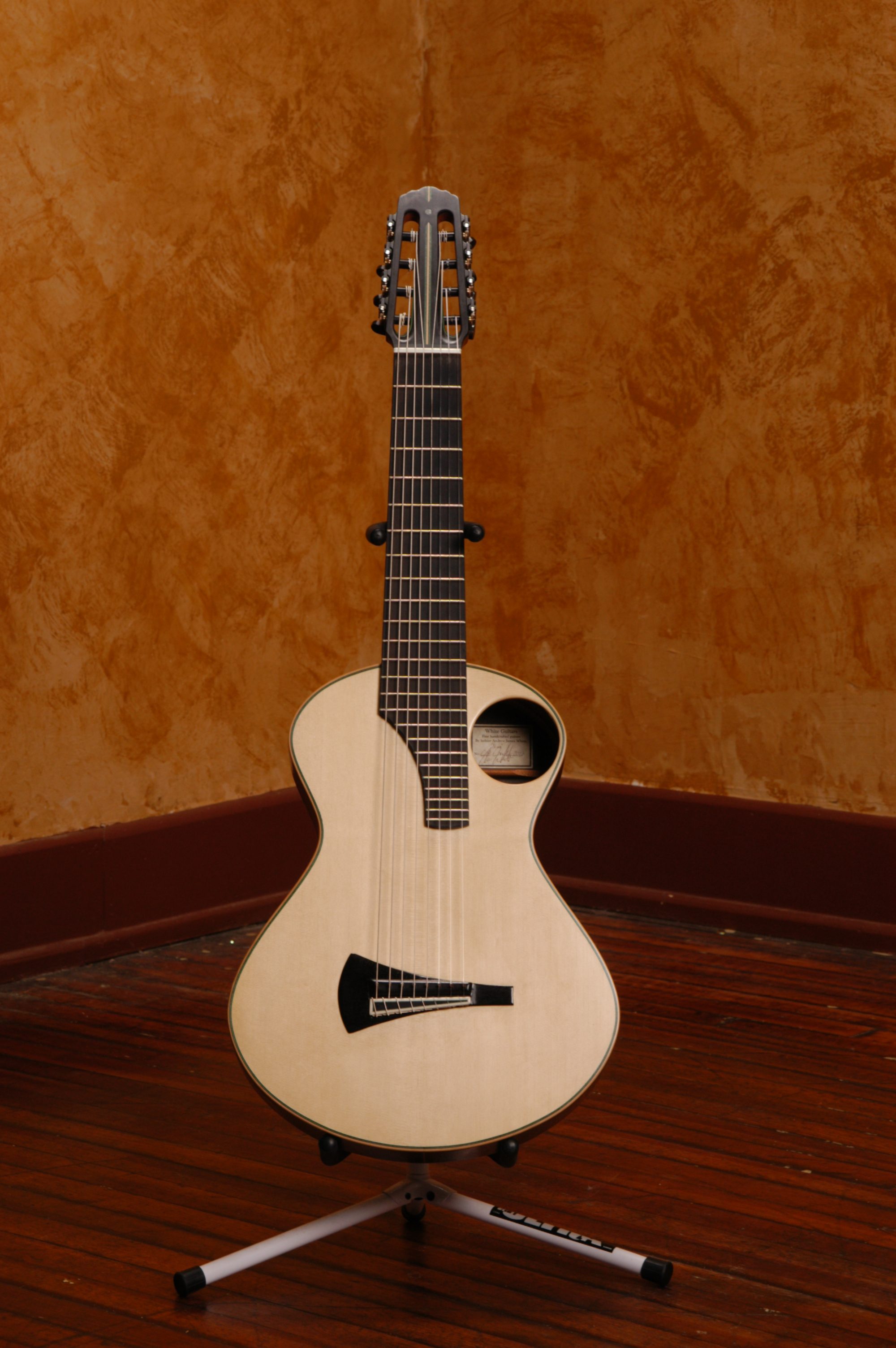 Wayne Rowand’s 8 String Nylon